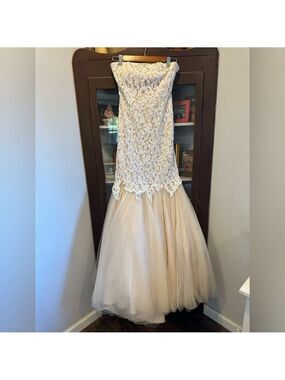 Renaissance Collection Sleeveless Lace & Beaded Top Ballgown Size 2